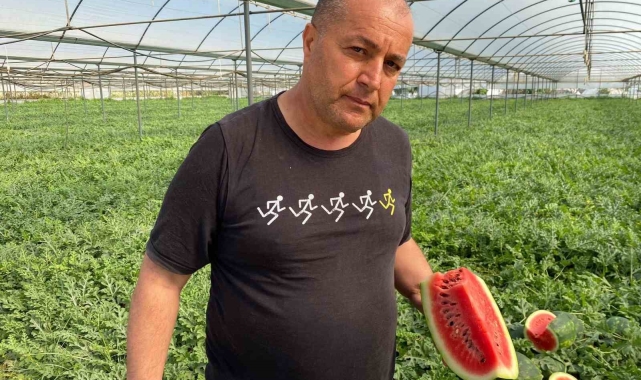 Antalya'daki sıcak havalar karpuz hasadını öne çekti