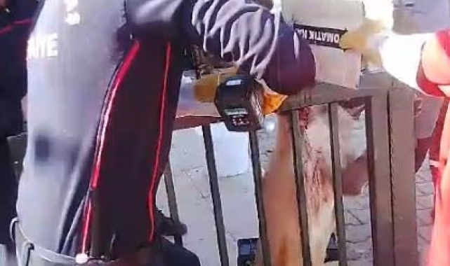 Ayağı korkuluk demirine saplanan köpeği itfaiye kurtardı