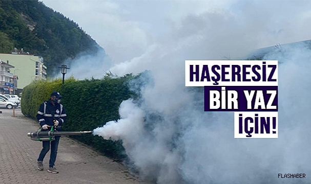 AYANCIK’TA LAVRA İLAÇLAMA ÇALIŞMALARI SÜRÜYOR!