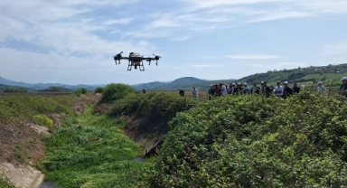 Bafra Ovası'nda sivrisinekle mücadele için dronla ilaçlama başlatıldı