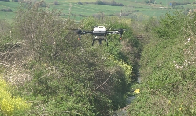 Bafra Ovası'nda dron destekli sivrisinek mücadelesi