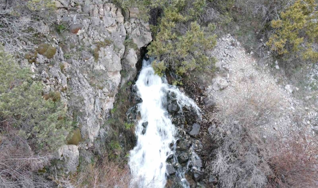 Baharda çıkıp yazın kayboluyorlar