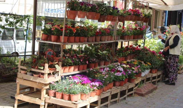 Baharın gelmesiyle birlikte rengarenk çiçekler görücüye çıktı