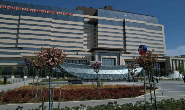 Başakşehir Şehir Hastanesi'nin sakuraları çiçek açtı