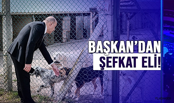 BAŞKAN GÜRBÜZ’DEN CAN DOSTLARA ZİYARET!