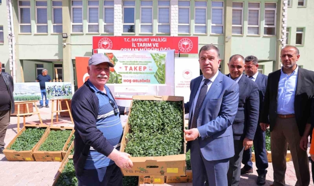 Bayburt'ta üreticilere fide dağıtıldı