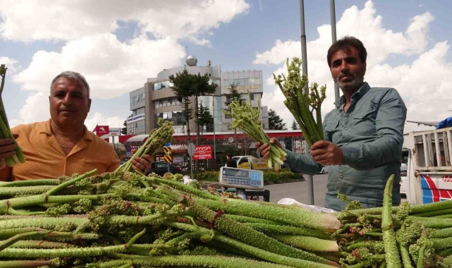 Bitlis'te 'yayla muzu' uçkunun fiyatı, 'Anamur muzunu' üçe katladı