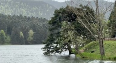 Bolu'da şiddetli rüzgar etkili oluyor