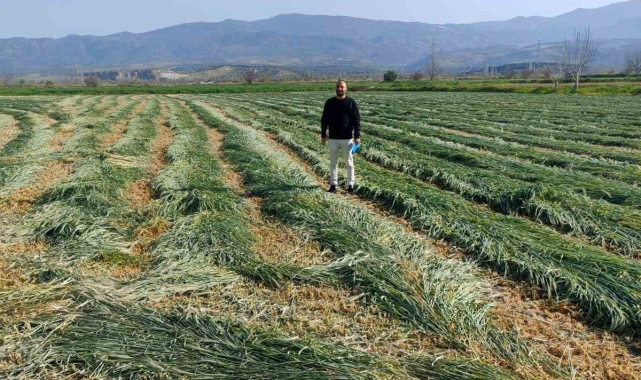 Bozdoğan'da ilçe tarım kaba yemin önemine dikkat çekti