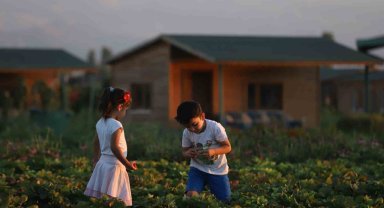 Büyükşehir'de 2 bin 543 adet hobi bahçesi için 22 bini aşkın başvuru