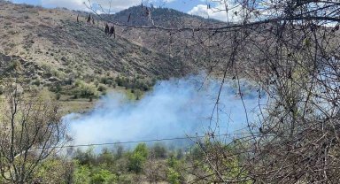 Çankırı'da orman yangını