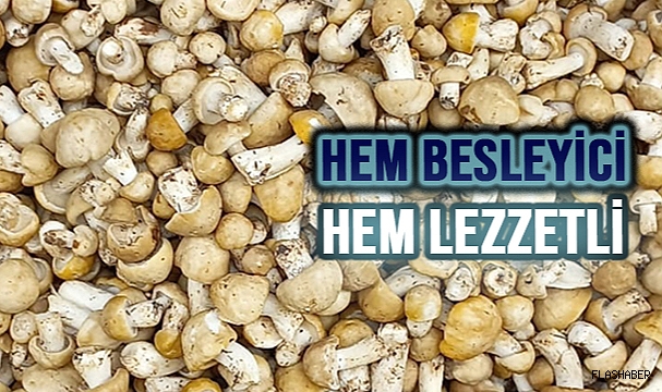 CİNCiLE TEZGAHA DÜŞTÜ!