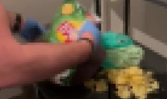 Cips paketlerinden uyuşturucu çıktı