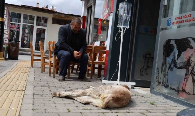 Dana Umut&#039;un sahibinin merhameti görenlerin içini ısıttı