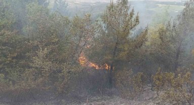 Denizli'de sezonun ilk orman yangını büyümeden söndürüldü