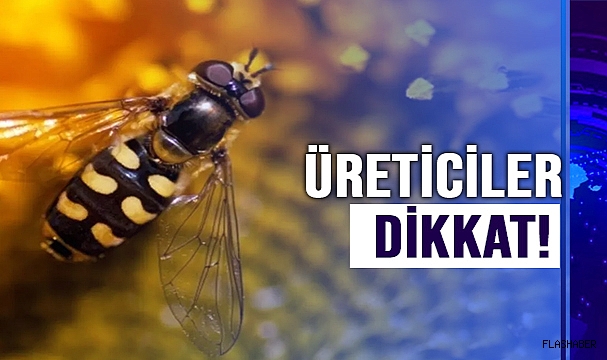 DİKKAT ETMEKTE FAYDA VAR!