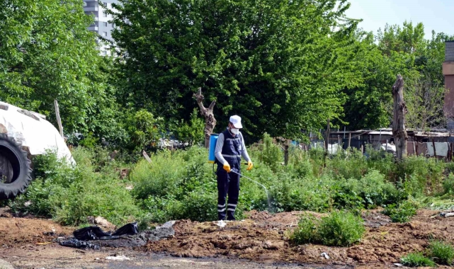 Diyarbakır'da vektörlere karşı ilaçlama çalışmaları sürüyor