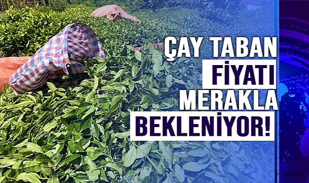 DOĞU KARADENİZ'DE 2024 YILI YAŞ ÇAY SEZONU İÇİN HAZIRLIKLAR SÜRÜYOR