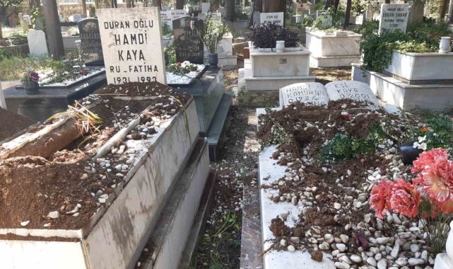 Domuzlar şimdi de mezarlara dadandı