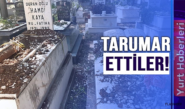 DOMUZLAR ŞİMDİ DE MEZARLARA DADANDI!