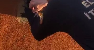 Duvardaki deliğe sıkışan ebabil kuşunu itfaiye ekibi kurtardı