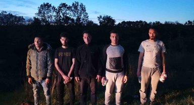 Edirne'de 5 kaçak göçmen yakalandı