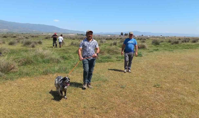 Fermalı av köpekleri 3'üncü kez yarıştı