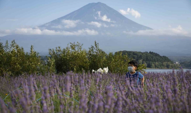 Fuji Dağı'na turist önlemi: Fotoğraf noktalarına bariyer çekilecek