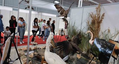 Gerçeği görülmez olunca, nesli tükenmekte olan hayvanlar tahnit sergisi ile tanıtıldı