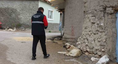Gölbaşı Belediyesi sokak hayvanlarını aşıladı