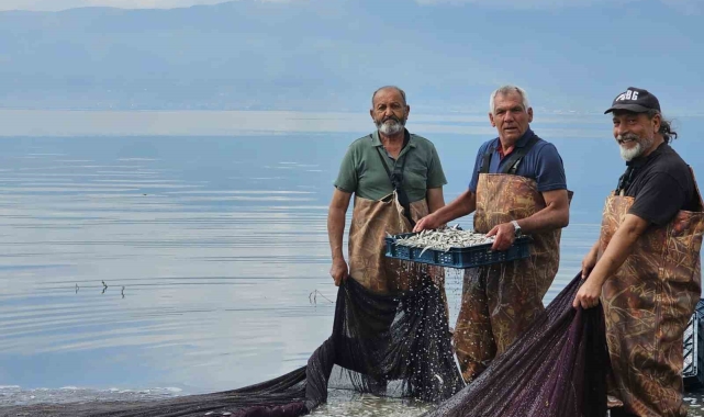 Gümüş balığının ihracat serüveni başladı