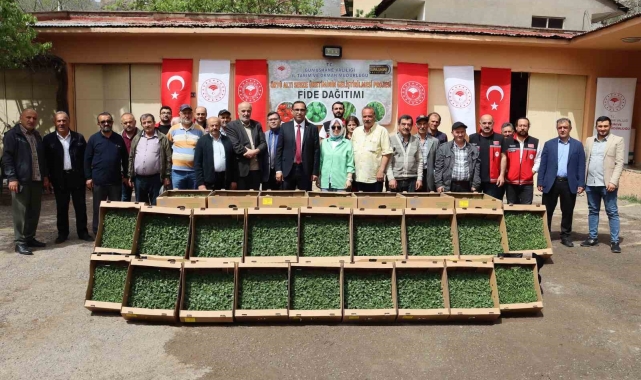 Gümüşhane'de 322 bin 398 sebze fidesi toprakla buluşacak
