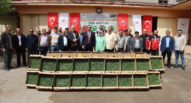 Gümüşhane'de 322 bin 398 sebze fidesi toprakla buluşacak