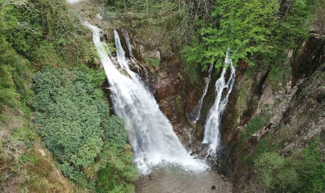Gümüşhane'nin saklı cenneti Çağlayandibi Şelalesi baharla coştu