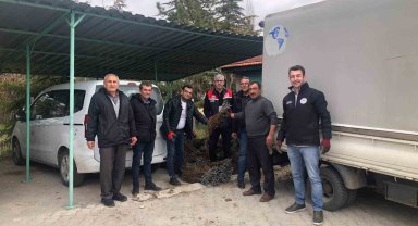 Günyüzü'nde üzüm projesi hayata geçti