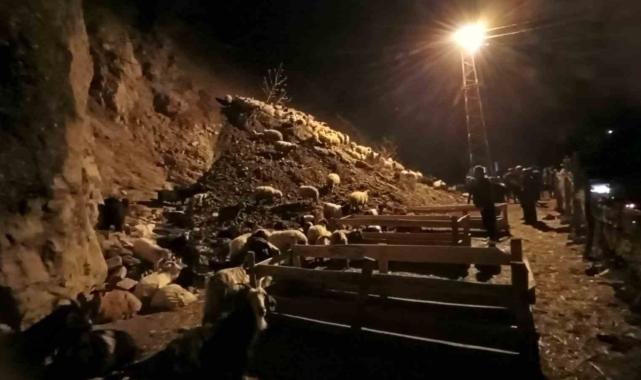 Hakkari&#039;nin Kırıkdağ köyünde toprak kayması