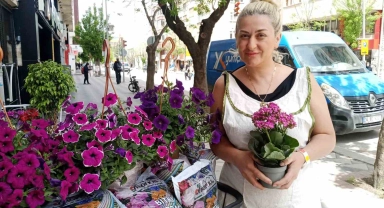 Havaların ısınmasıyla birlikte yazlık çiçek satışları başladı