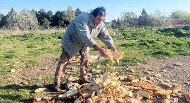 Hayvanlar için 30 yıllık mücadelesine motosikletinin çalınması bile engel olmadı