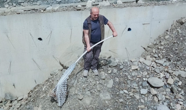 İnşaat çukuruna düşen çakal doğaya salındı