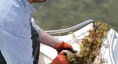 Isparta'da 200 metre uzatma ağı ele geçirildi