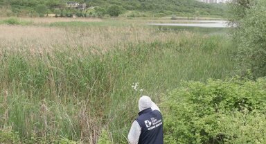 İzmit'in her noktası ilaçlanıyor