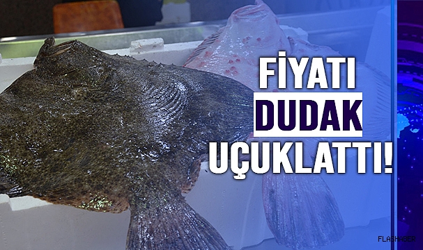 KALKAN REKORA KOŞUYOR!