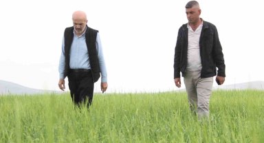 Karaman'da aniden yağan dolu ekili arazilerde zarara yol açtı