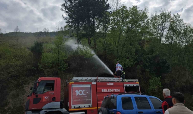 Kastamonu'da korkutan orman yangını: Büyümeden söndürüldü