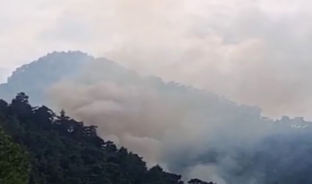 Kemer'de orman yangını