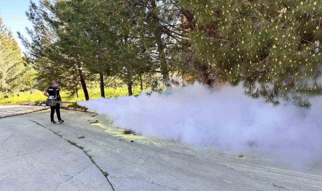 Kent genelinde ilaçlama çalışmaları başladı