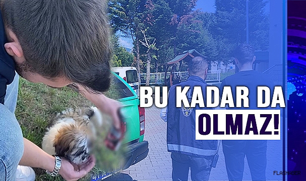 KÖPEĞE ALKOL İÇİREREK O ANLARI SOSYAL MEDYA HESABINDAN PAYLAŞTI