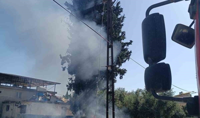 Kumlu'da çıkan bahçe yangını söndürüldü
