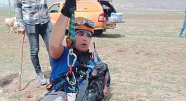 Kuyuya düşen oğlağı AFAD kurtardı