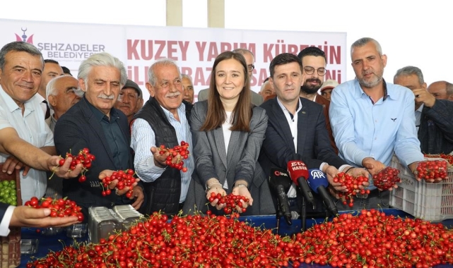 Kuzey yarımkürenin ilk kirazının hasat edildiği Manisa'da üretici umutlu